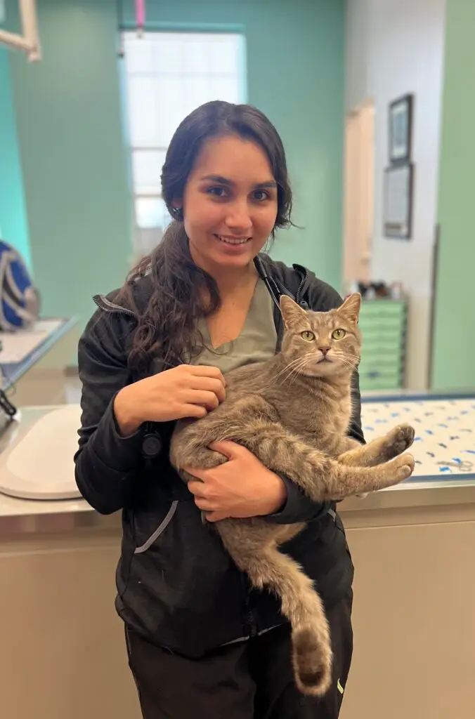 Dr. Elizabeth Hall of Manchester Veterinary Services