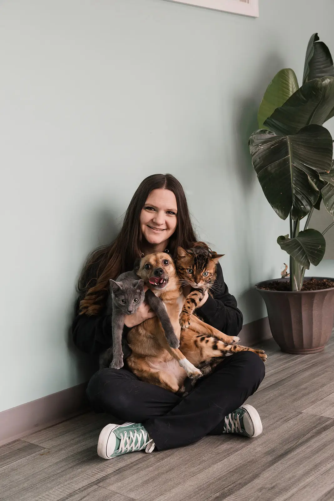 Kim Pow, registered vet tech of Manchester Veterinary Services.