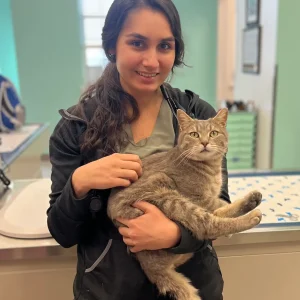 Dr. Elizabeth Hall of Manchester Veterinary Services